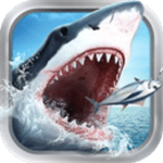 有什么能用的V P N